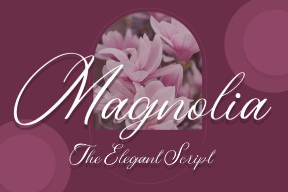 Magnolia: The Script Font That Brings Timeless Charm to Your Projects